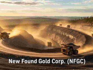 New Found Gold Corp. (NFGC) : un potentiel minier concret vers une vraie mine d’or